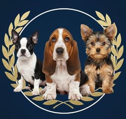 Cachorros Petchochos
